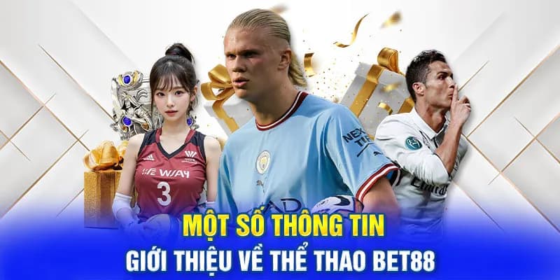 Sơ lược về hoạt động cá độ thể thao tại BET88 