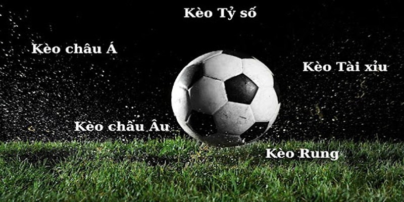 Nhà cái Bet88 là điểm đến hàng đầu với nhiều loại hình kèo bóng đá hấp dẫn